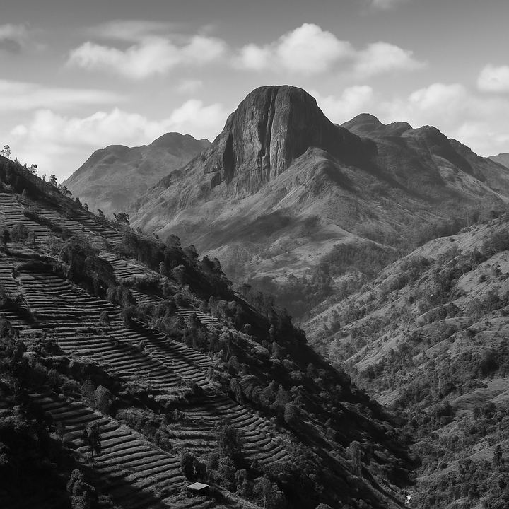 Padparadscha – Safír západu slunce s královskou aurou